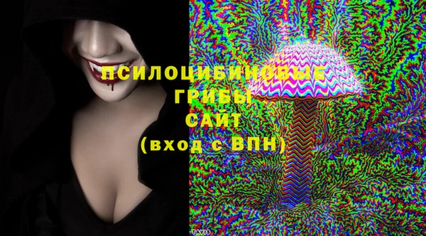 ПСИЛОЦИБИНОВЫЕ ГРИБЫ Абинск